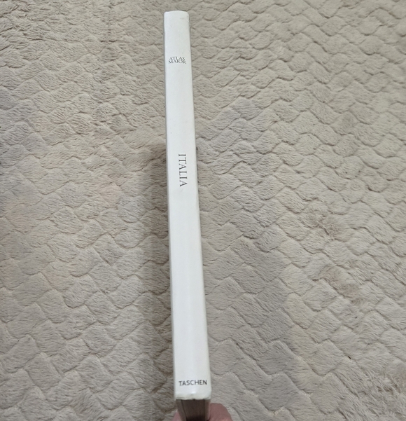 Italia Introduction to Geography by Taschen Book Historical Book with Maps - Picture 3 of 15